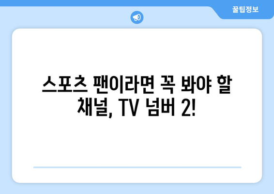 실시간 스포츠의 전당: TV 넘버 2에서 모든 스포츠 한번에