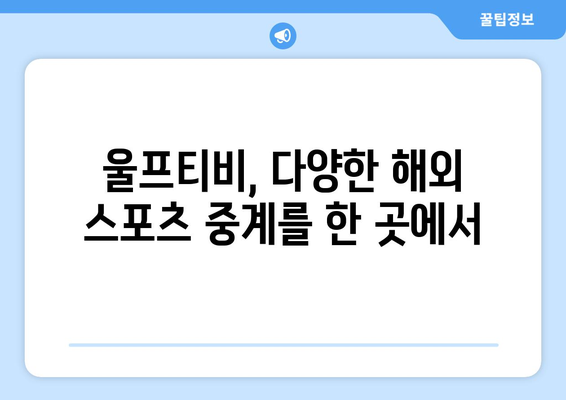 챔피언스리그 중계, 해외 스포츠 중계, 울프티비