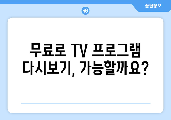 누누티비 대체 사이트: TV 프로그램 다시보기