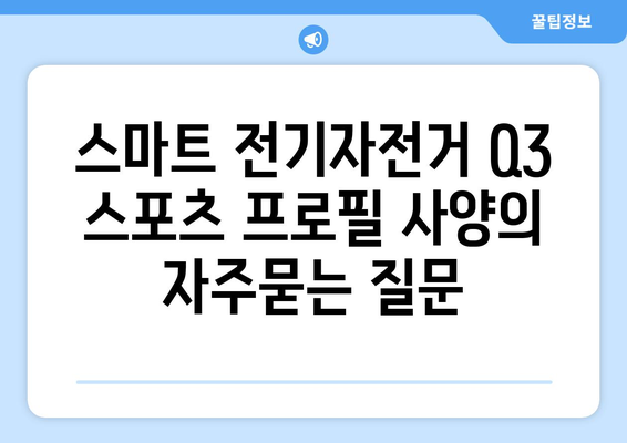 스마트 전기자전거 Q3 스포츠 프로필 사양