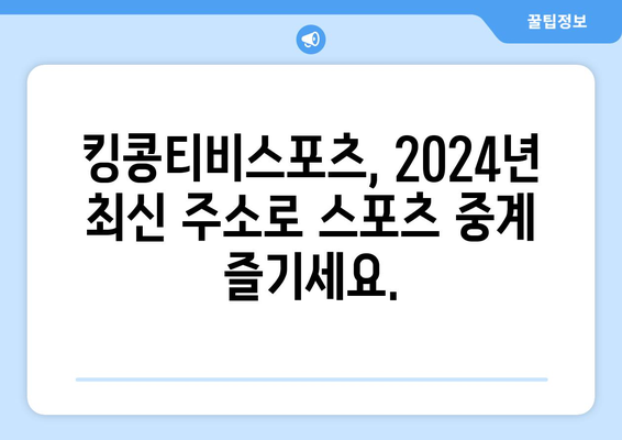 2024 킹콩티비스포츠최신 주소