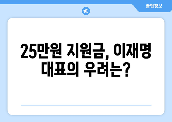 이재명 대표가 반대하는 민생 지원금 25만원의 이유