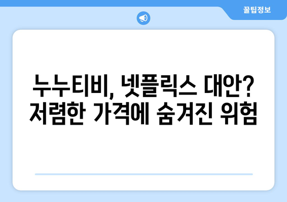 누누티비가 넷플릭스의 대안으로 부상? 법적 영향 고려하세요