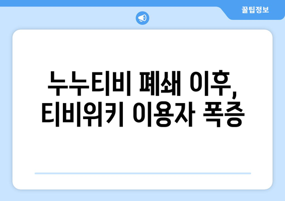 티비위키, 누누티비 강제 폐쇄 이후 무료 재시청 가능