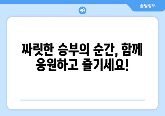 8강에서 결승전까지: 축구 대회의 보상과 실시간 스트리밍 안내