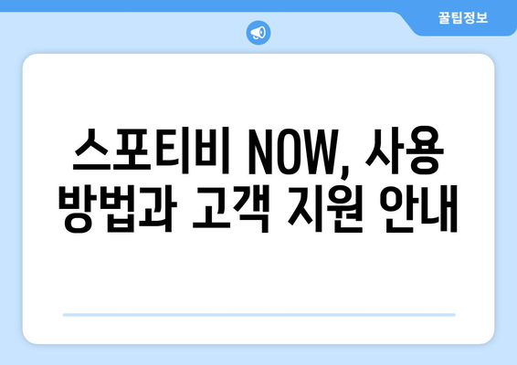 스포티비 무료 시청 방법 및 스포티비 NOW 가격 안내