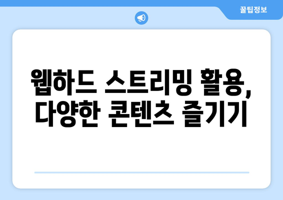 티비위키 없이 웹하드 스트리밍 활용하는 법