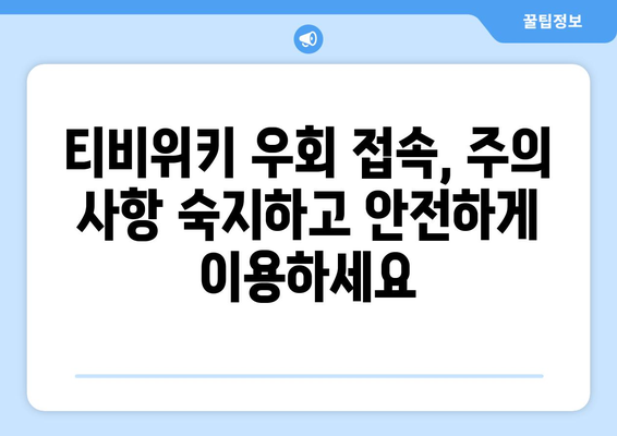 티비위키 안전 팁: 우회 접속 시 주의 사항