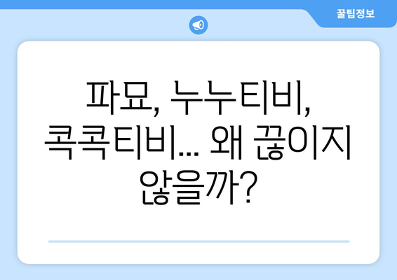 파묘·누누티비·콕콕티비 등 불법 스트리밍 사이트의 활개