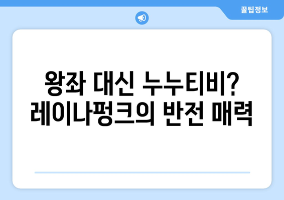 레이나펑크, 누누티비에 빠져버린 색다른 공주