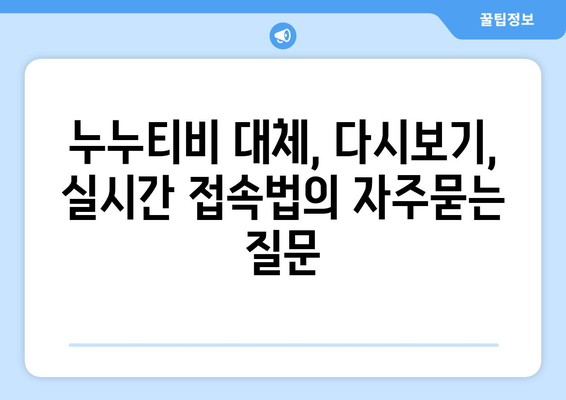 누누티비 대체, 다시보기, 실시간 접속법