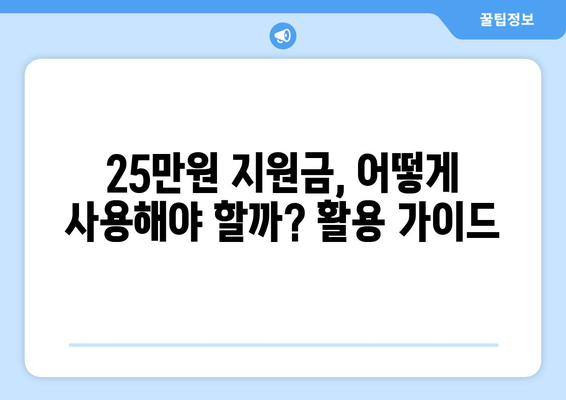 이재명의 25만원 지원금: 현금 대신 처분 가능 법적 조치