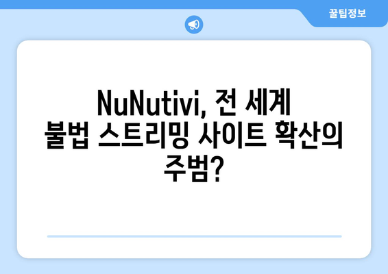 NuNutivi와 전 세계 불법 스트리밍 사이트 활성화