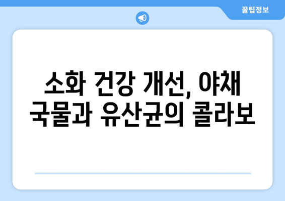 야채 국물과 유산균이 건강에 미치는 이점