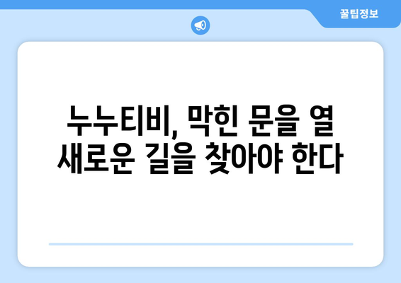 누누티비 종료로 차단 회피 대안 필요성