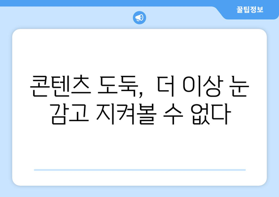 콘텐츠 도둑들에 대한 대책: 누누티비 이후 시급해진 개선