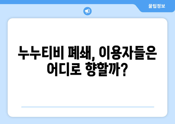 누누티비 종료 자진: 대체 사이트의 출현