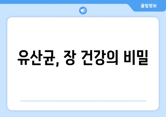 야채 국물과 유산균이 건강에 미치는 이점