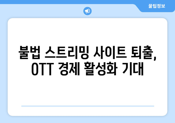 누누티비 사이트 폐쇄: OTT 경제효과 분석