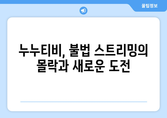 누누티비의 유산: 불법 스트리밍의 미래에 대한 영향