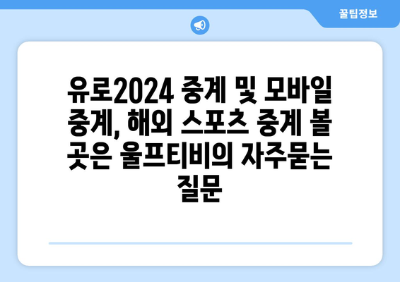 유로2024 중계 및 모바일 중계, 해외 스포츠 중계 볼 곳은 울프티비