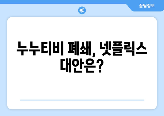 넷플릭스의 대안? 누누티비(불법 스트리밍 사이트) 종료