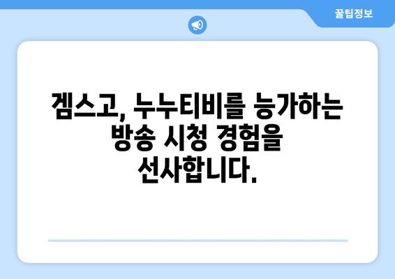 겜스고: 누누티비 대체를 위한 완벽한 Gamsgo 소개