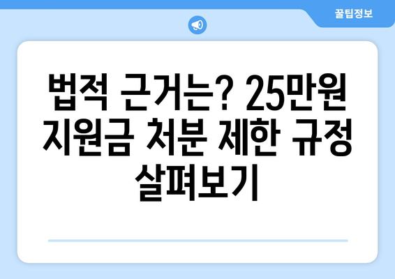 이재명의 25만원 지원금: 현금 대신 처분 가능 법적 조치