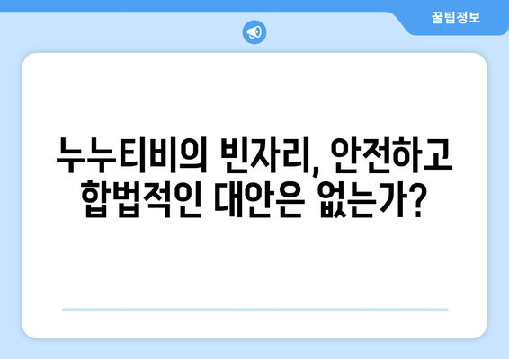 누누티비 종료로 차단 회피 대안 필요성