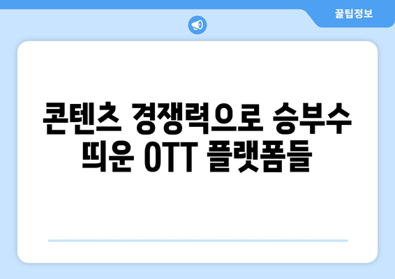 OTT 전쟁: 누누티비 대체품의 반격