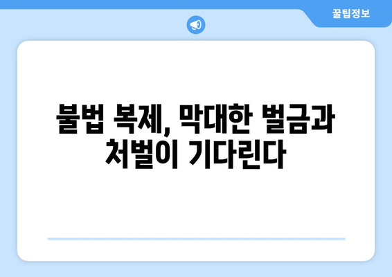 누누티비 대체: 불법 복사 및 배포에 대한 벌칙