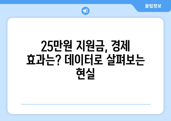 25만원 민생지원금의 실효성에 대한 분석