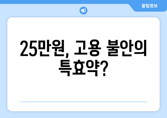 고용 불안 개선을 위한 25만원: 실업률 감소의 처방전인가 속수무책의 변명인가?