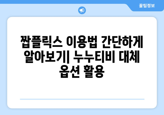 짭플릭스를 통한 누누티비 대체 옵션