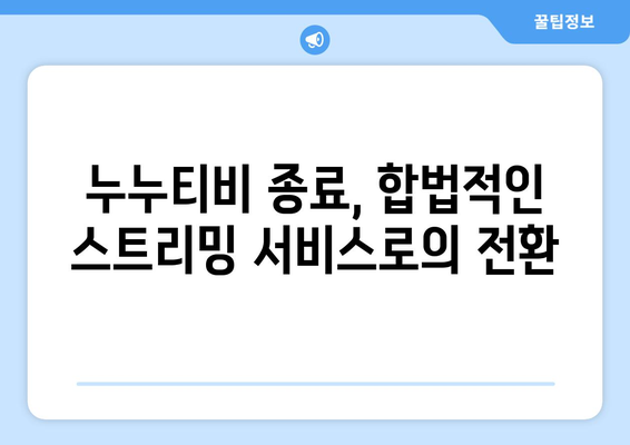 누누티비의 종료: 넷플릭스를 위한 대체책?