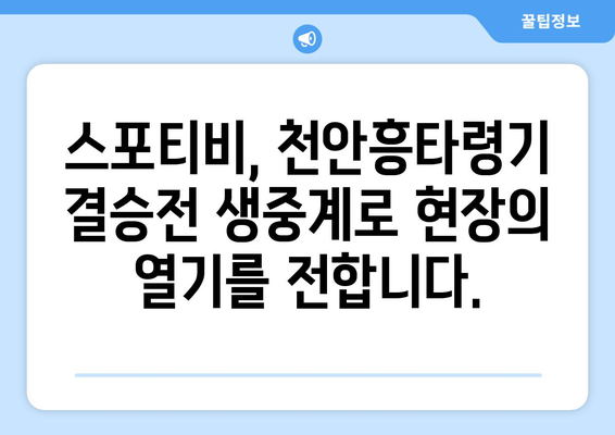 천안흥타령기 결승전 스포티비 중계 안내