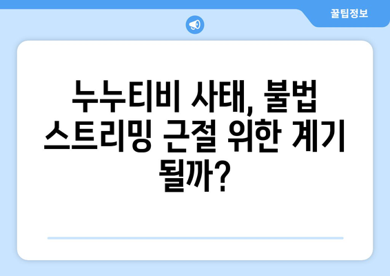 누누티비의 종료: 불법 스트리밍 사이트에 대한 조치