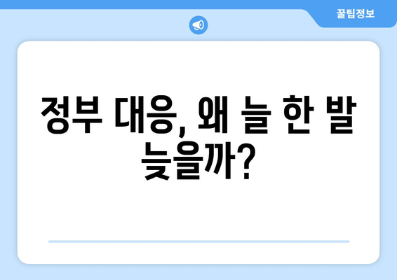 누누티비 매일 차단: 늦은 정부 대응