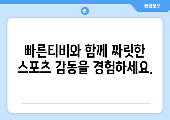 빠른티비: 모든 스포츠를 한곳에