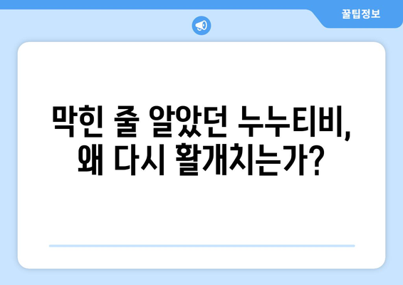 누누티비 등 불법 사이트의 재활개 활발화