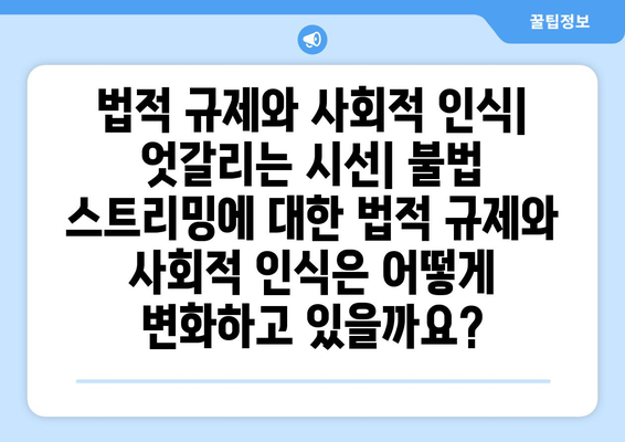 티비위키-누누티비 공존의 가능성과 난제