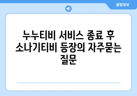 누누티비 서비스 종료 후 소나기티비 등장