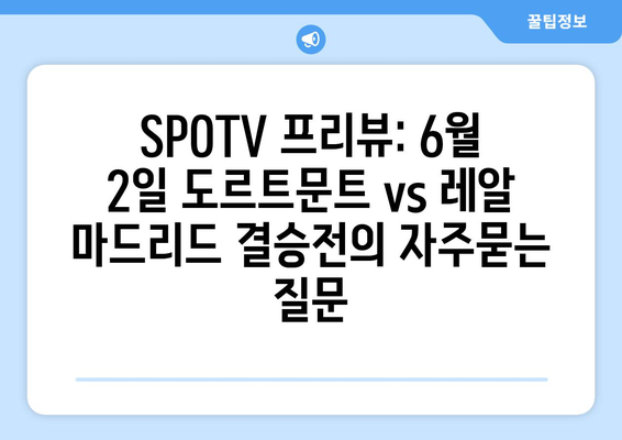 SPOTV 프리뷰: 6월 2일 도르트문트 vs 레알 마드리드 결승전