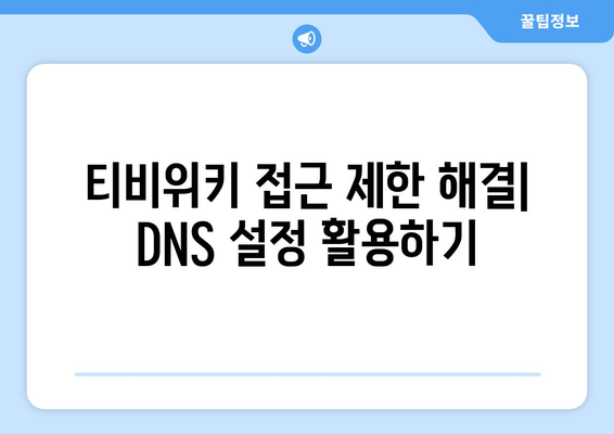 티비위키 주소 우회를 위한 DNS 설정 방법