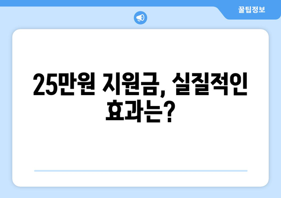 민생 고통 해소를 위한 25만원 지원금: 약속을 행동으로