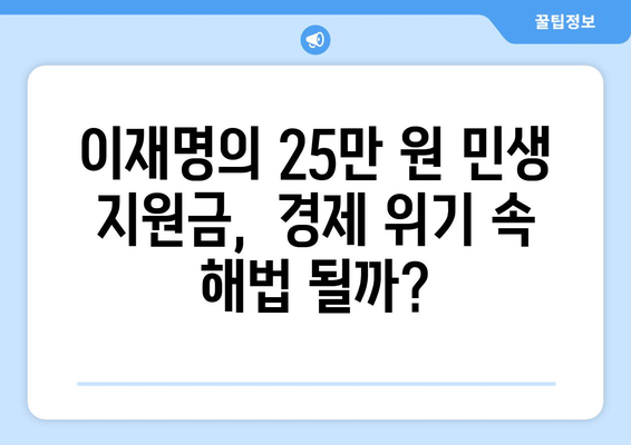 25만 원 민생 지원금: 이재명의 대안적 경제 정책