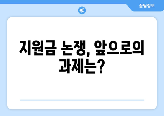 25만 원 민생회복지원금 논쟁: 핵심 문제는 무엇인가?