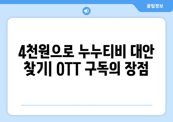 누누티비 대신 4천원에 OTT 구독하는 방법