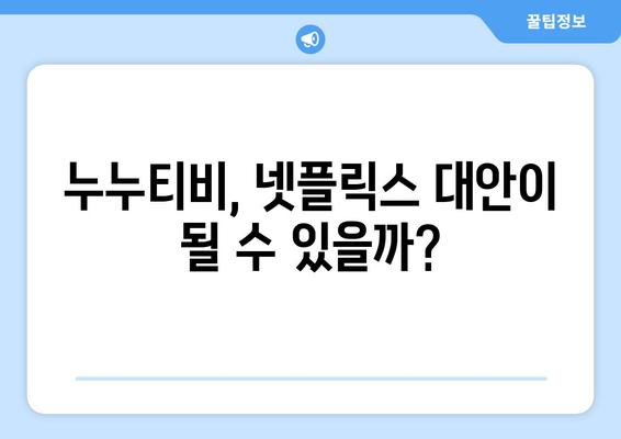 누누티비의 종료: 넷플릭스를 위한 대체책?