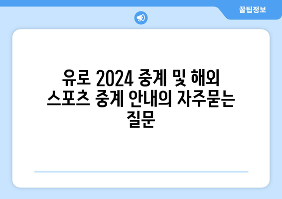 유로 2024 중계 및 해외 스포츠 중계 안내